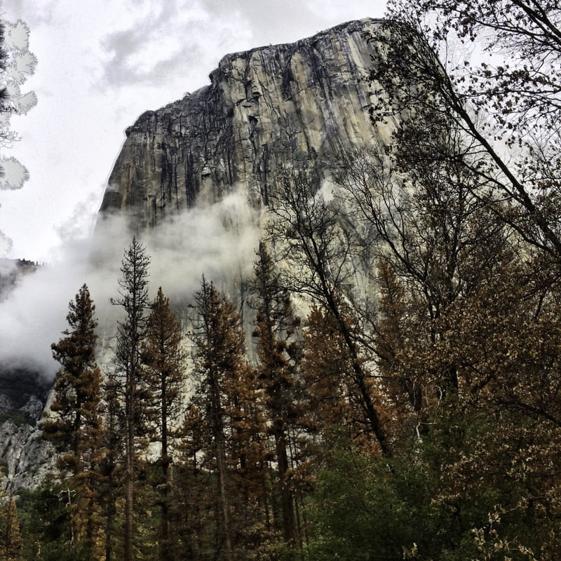 YOSEMITE MV