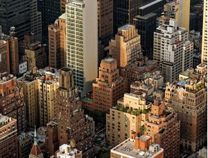 COZY NYC