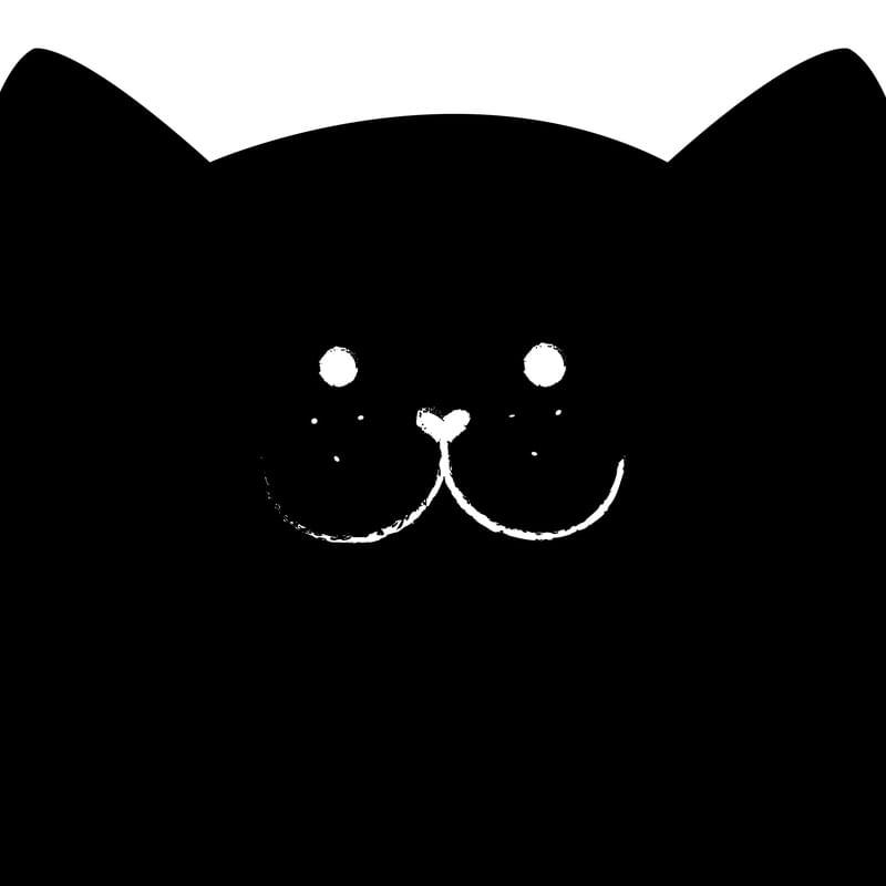SUPER GATO!