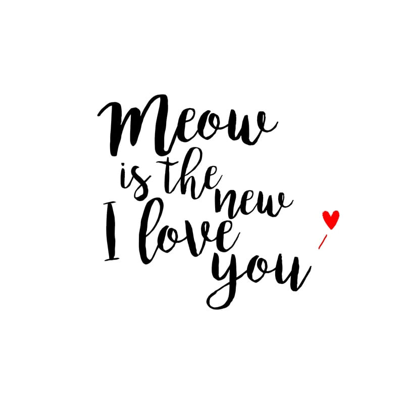 MEOW IS THE NEW