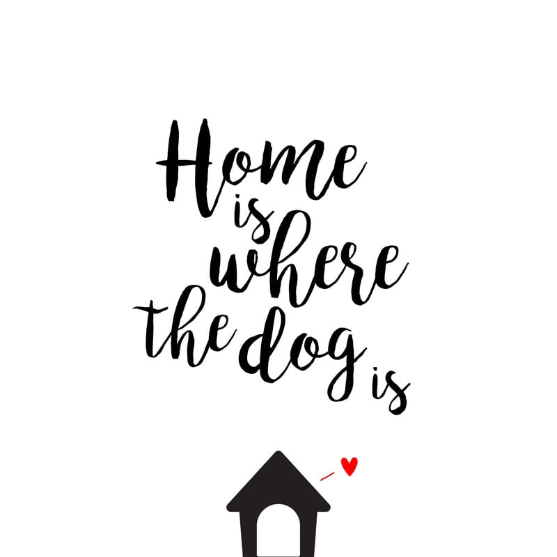 HOME IS WHERE THE DOG IS