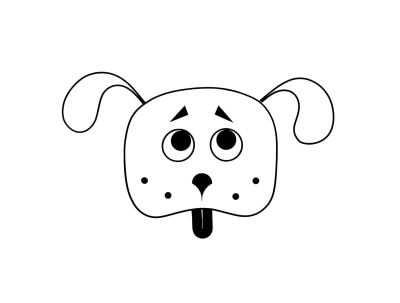 OLHAR DE CACHORRO
