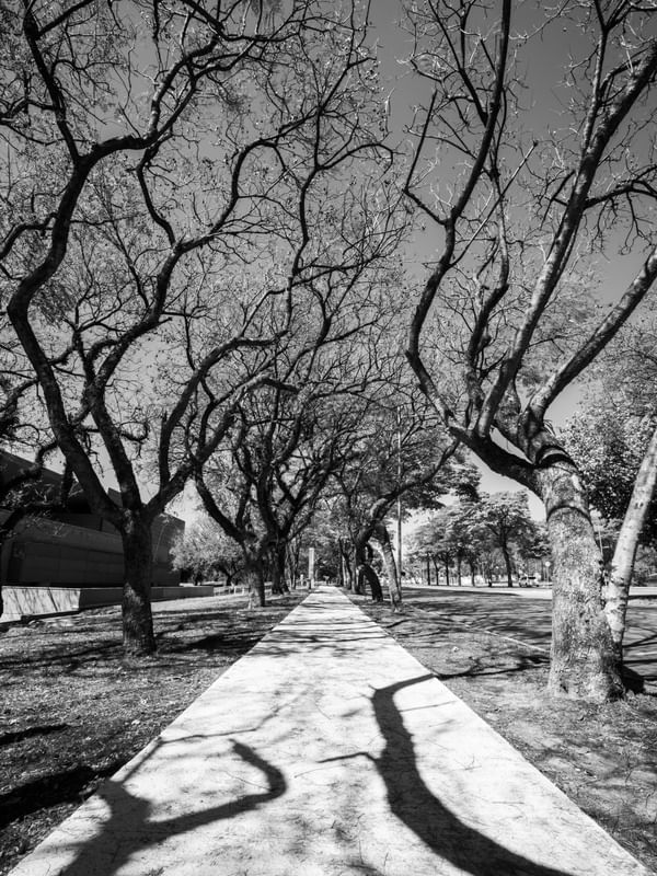 LIGHT AND SHADOW