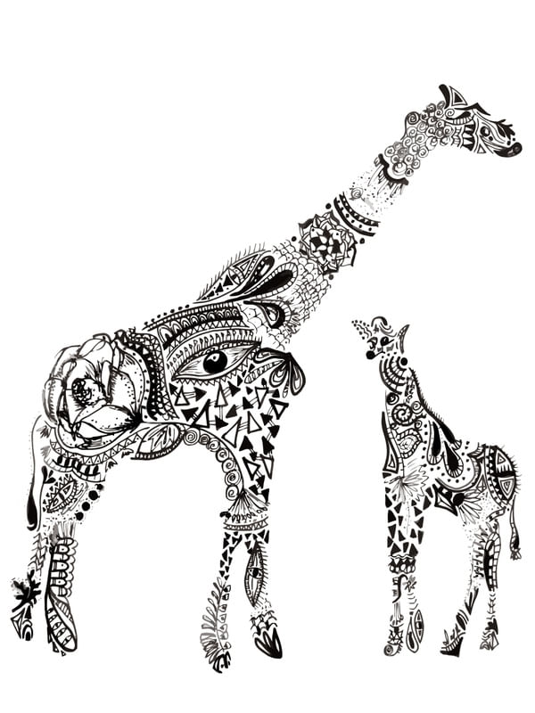 GIRAFAS MAORI