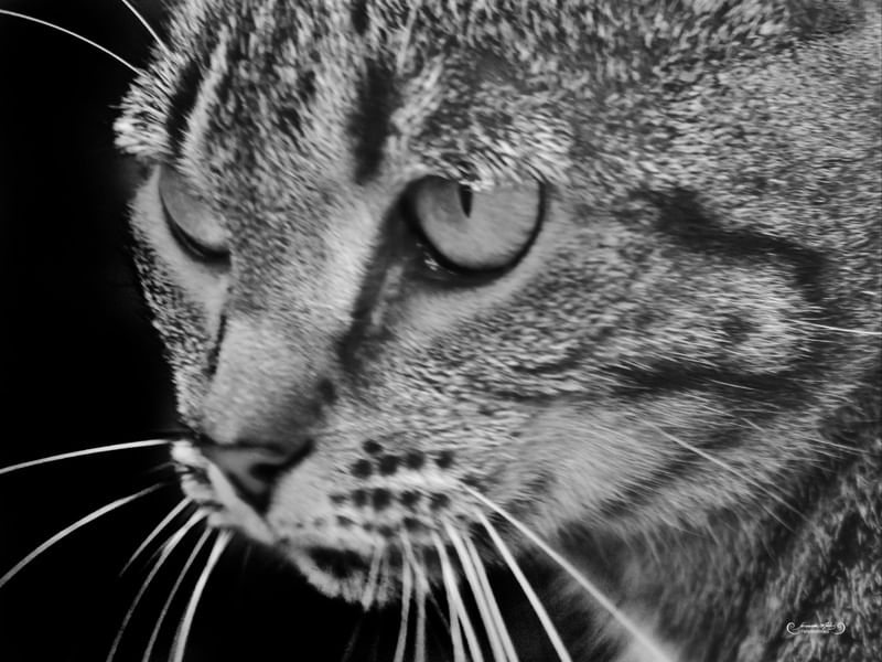 GATUNO