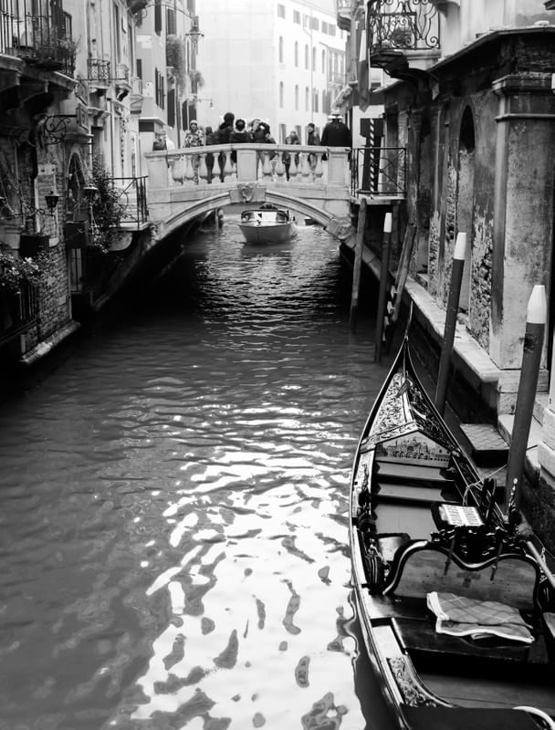 VENEZA SEM COR