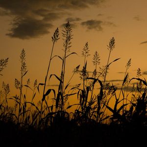 POR DO SOL EM BAGAN