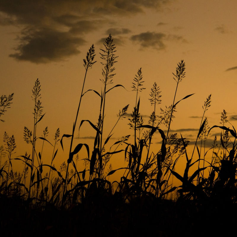 POR DO SOL EM BAGAN