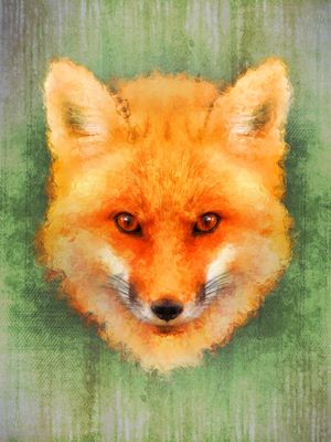 OLHAR FOX