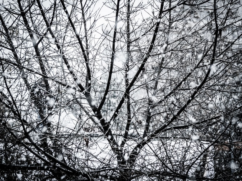 NEVE CAINDO