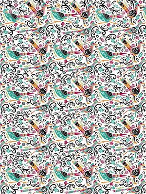 ROADRUNNERS