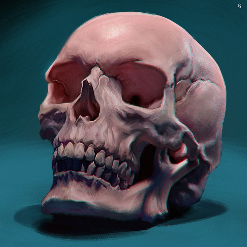 A CAVEIRA ROSA