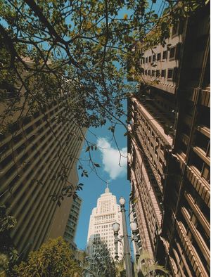 SÃOPAULOCOLORIDA