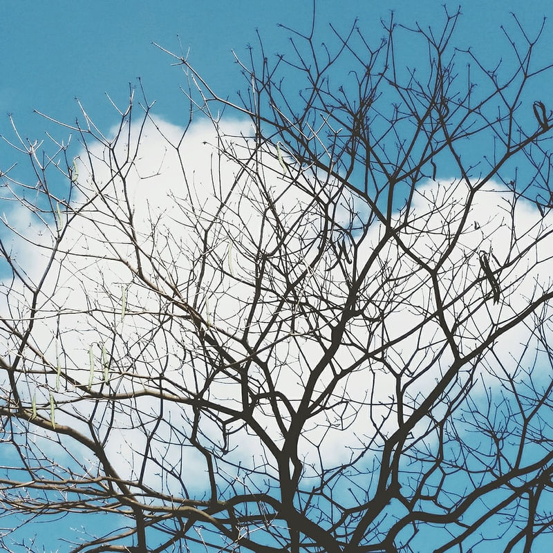 SIMPLICIDADE AZUL