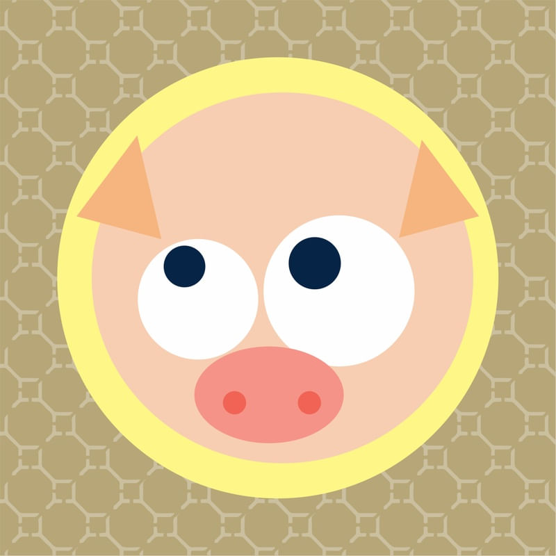 FACE PORQUINHO