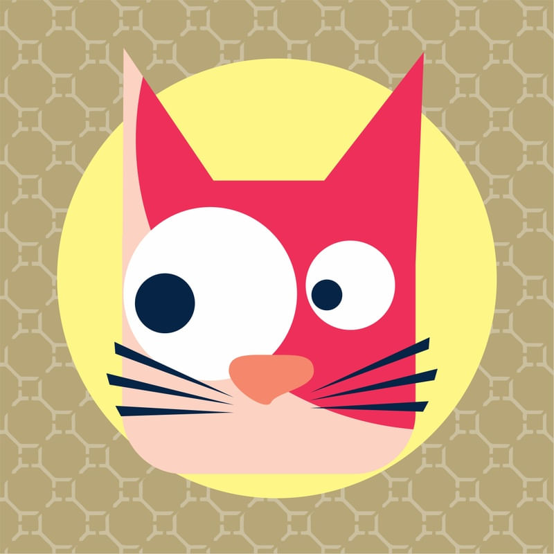 GATINHO ROSA