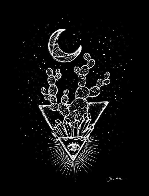 CACTUS GAZE