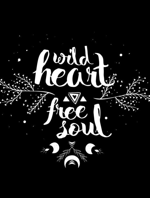 FREE SOUL WILD HEART