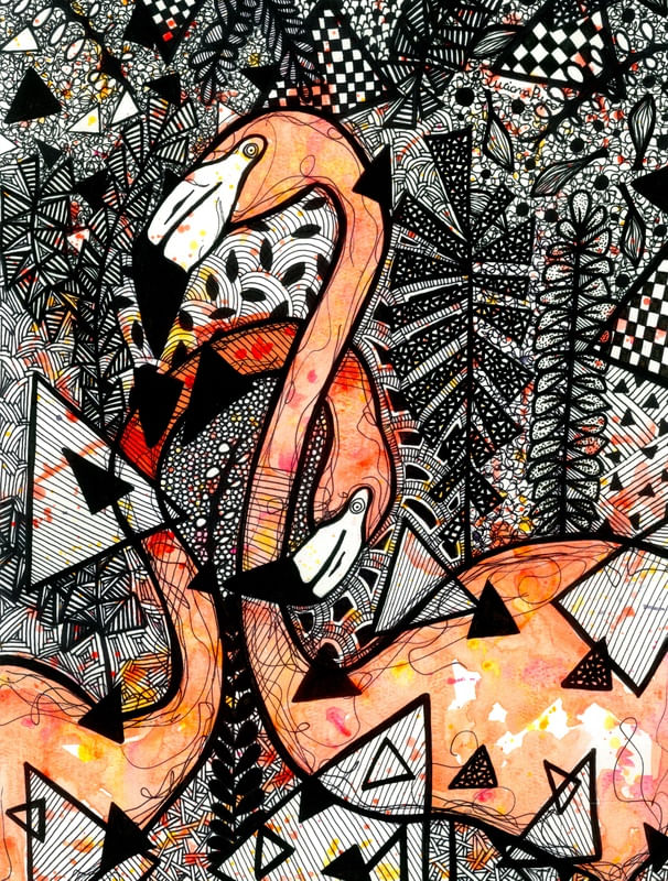 FLAMINGOS E TEXTURAS