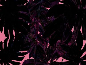 TROPICALIS N