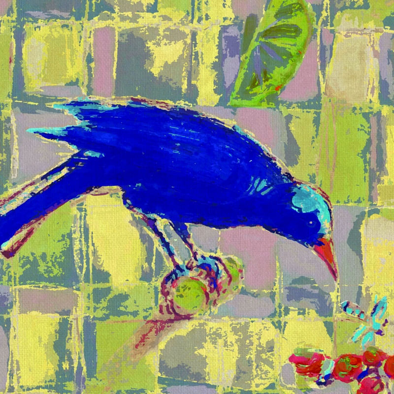 PÁSSARO AZUL E INSETO