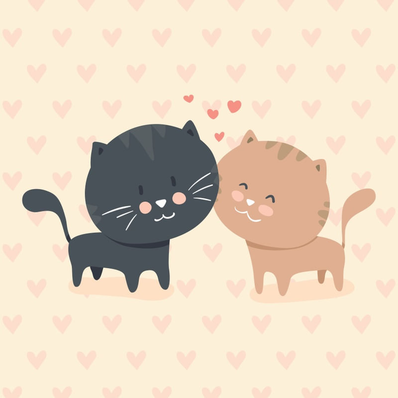 CAT LOVE 2