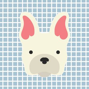 DOG FOFIS