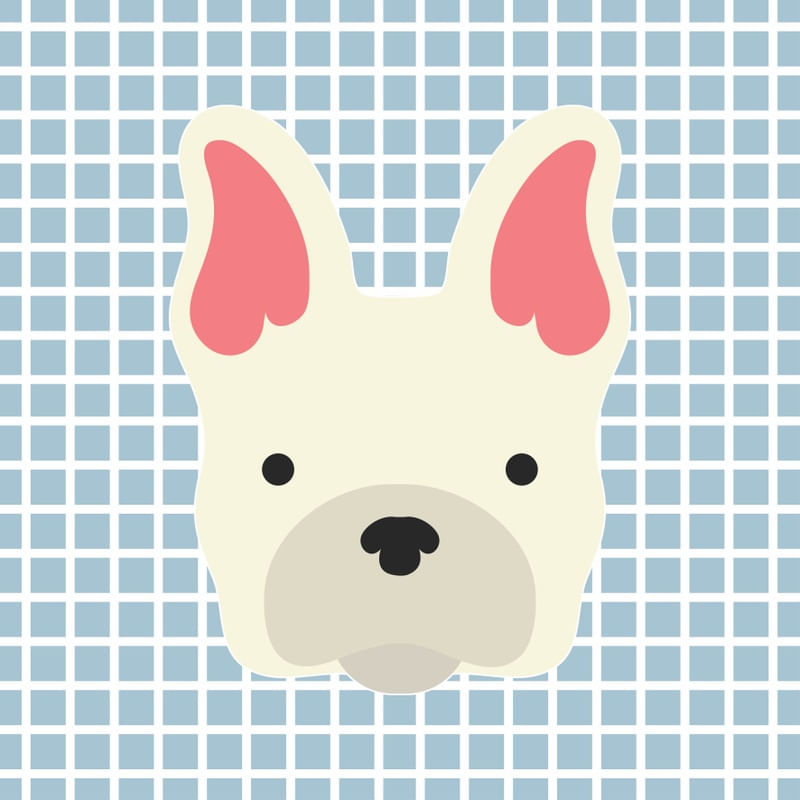 DOG FOFIS