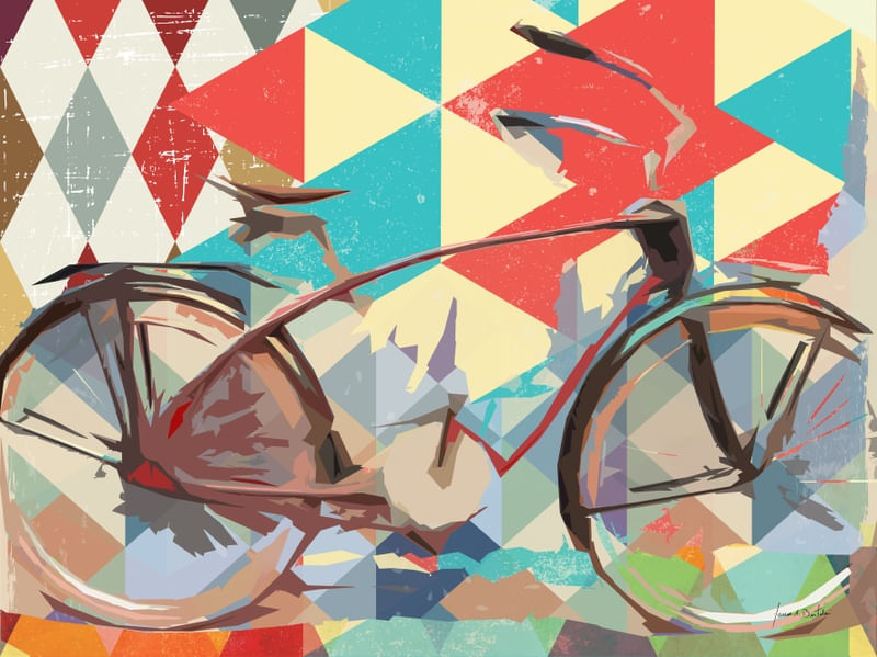 BICYCLE VINTAGE 20
