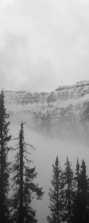 BNW MOUNTAIN 2