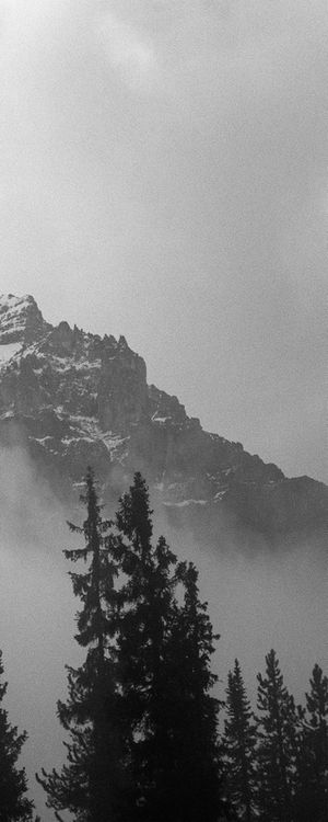 BNW MOUNTAIN 3