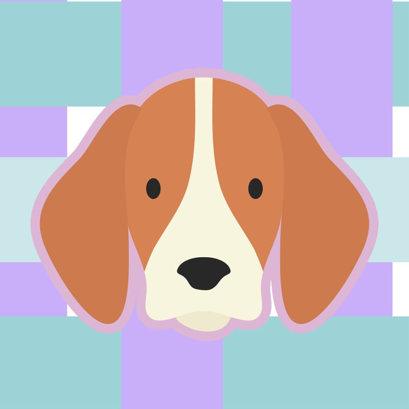 BEAGLE SM