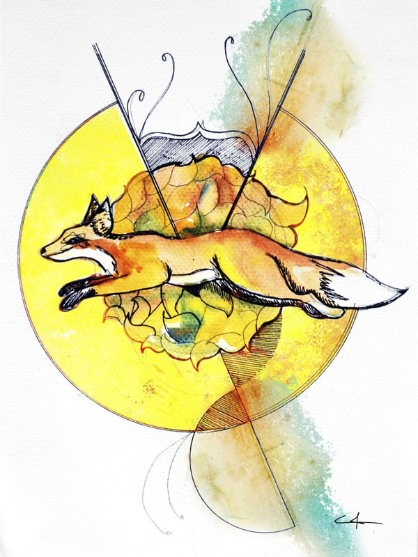 VÁRIOS FOX