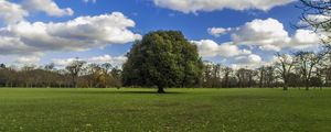 A ÁRVORE DE GREENWICH