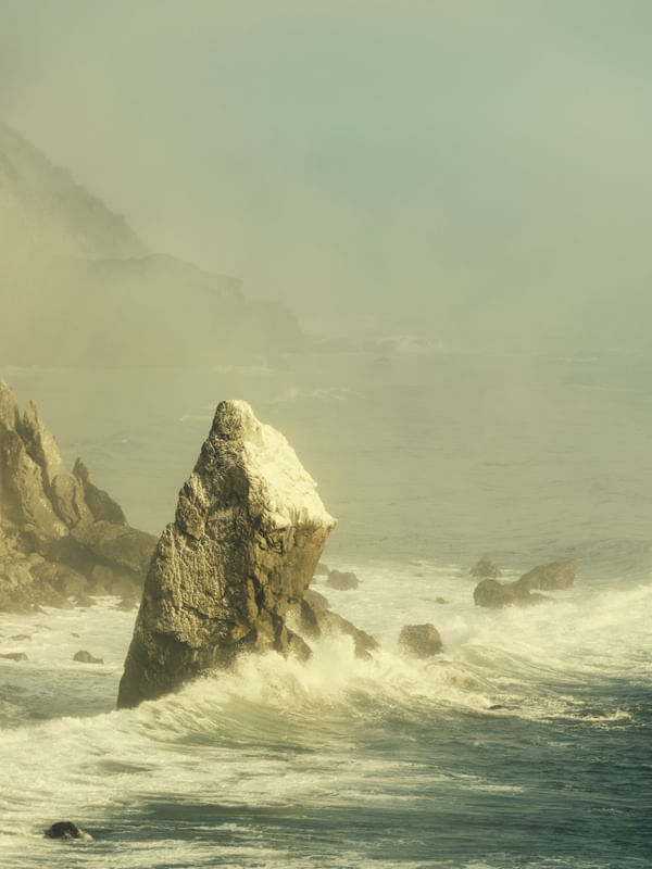 LAST ROCK STANDING II