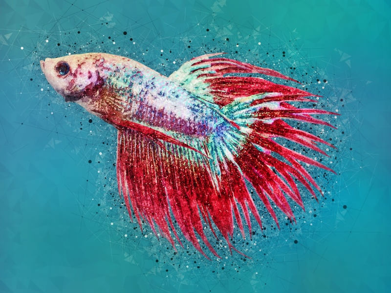 LIGHTFISH