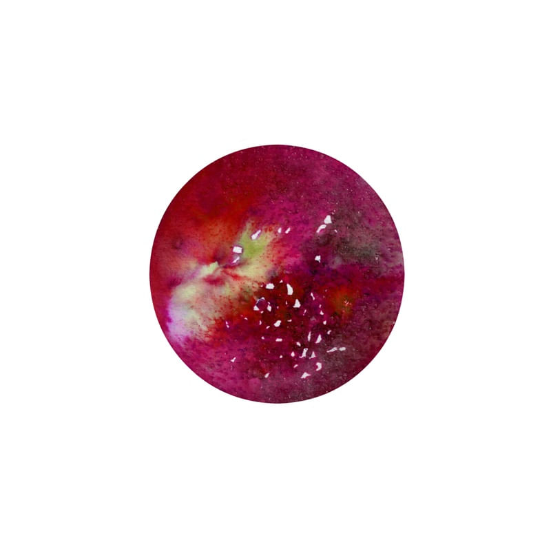 MOON GAZER 6
