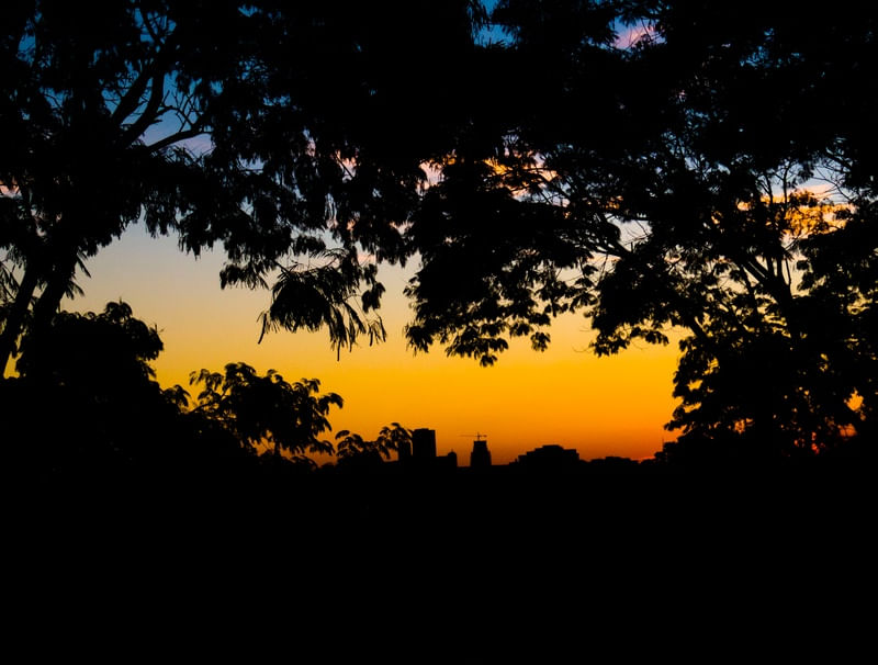 SKYLINE CURITIBA #2
