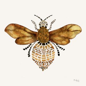 ABELHASUE