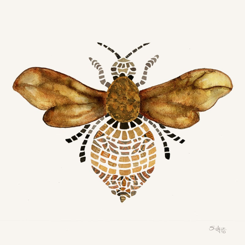 ABELHASUE