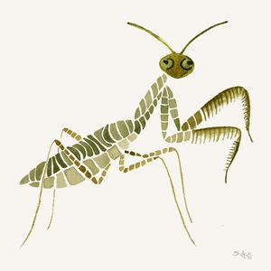 GRILOSUE