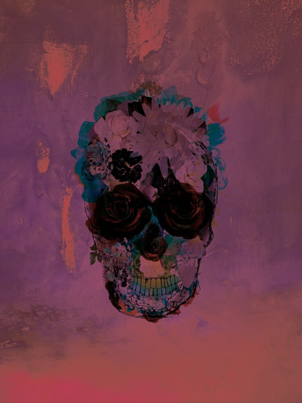 SKULL FULL 3