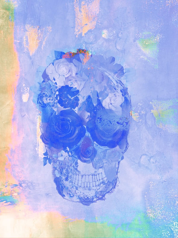 SKULL FULL 5