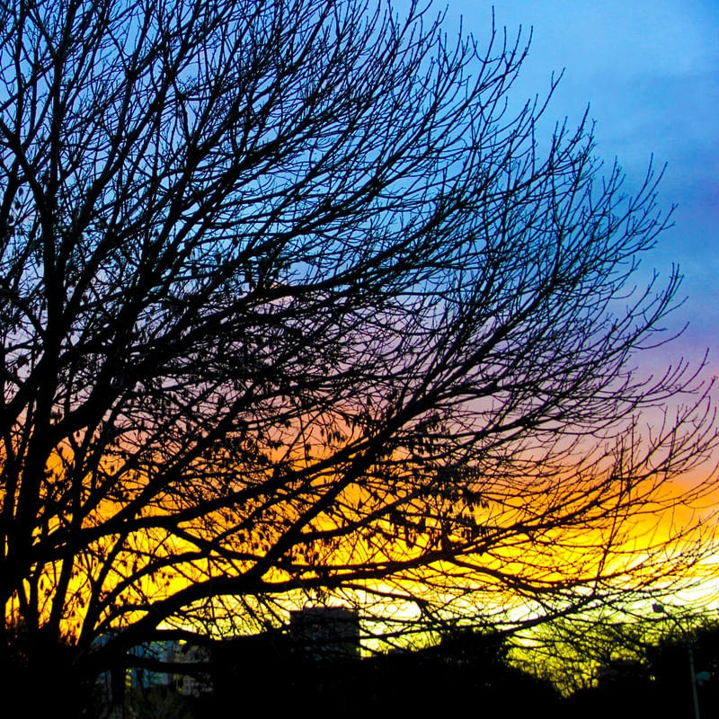 POR DO SOL COM TODAS AS CORES
