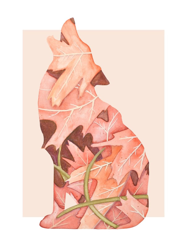 FLORA E FAUNA - LOBO