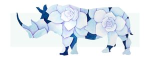 FLORA E FAUNA - RINOCERONTE