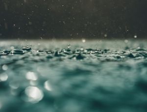 SUMMER RAIN