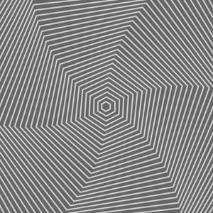 VÓRTICE HEXAGONAL