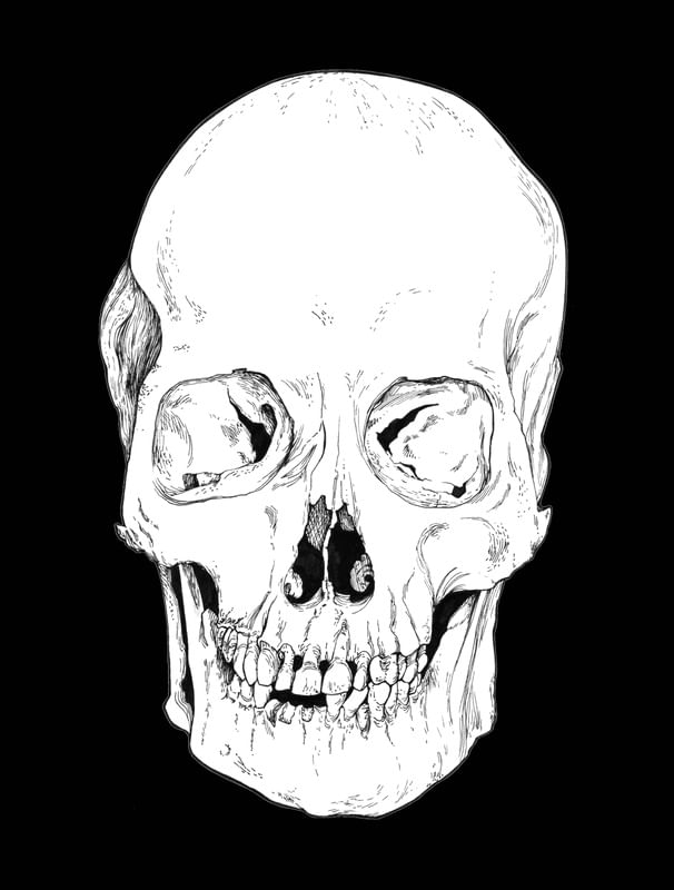 HEAD BONE