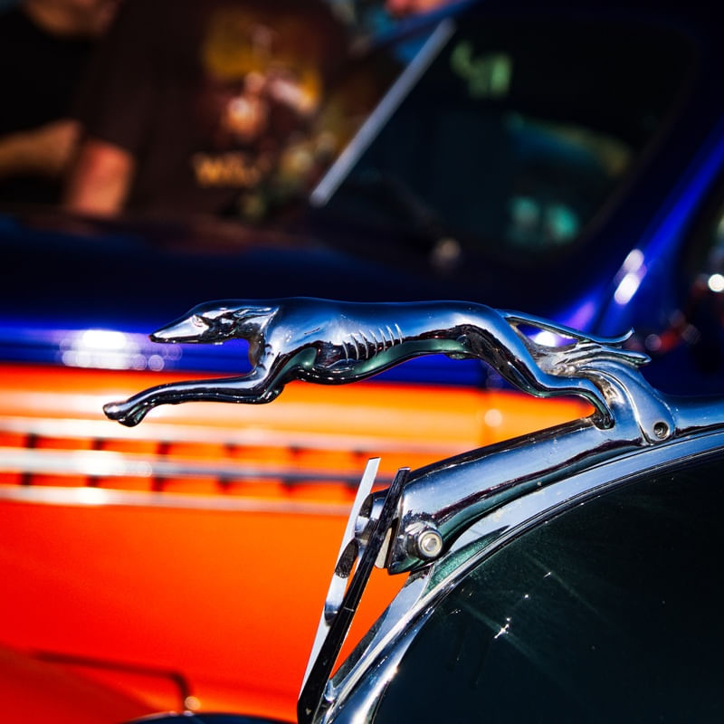 VINTAGE FORD V8 LOGO GREYHOUND